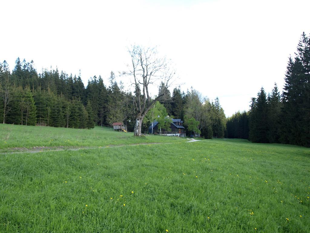 Chata Pod Koberstejnem Rejvíz Exterior foto